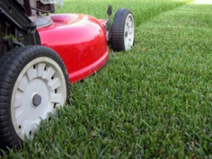 Lawn-Care- Jose Ruiz