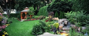 landscaping Collyn McCleary